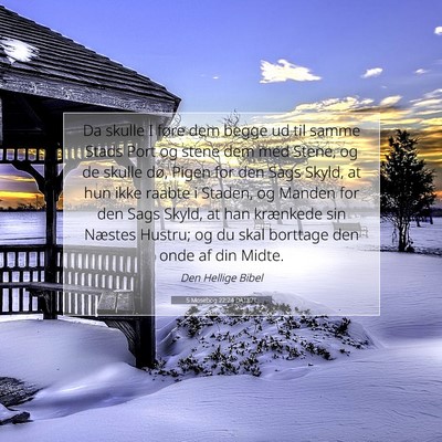 Picture 07 - 5 Mosebog 22:24 DA1871 - Da skulle I føre dem begge ud til samme Stads - Bible Verse Picture