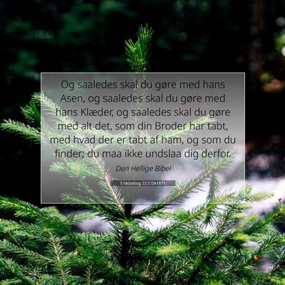 Picture 07 - 5 Mosebog 22:3 DA1871 - Og saaledes skal du gøre med hans Asen, og - Bible Verse Picture