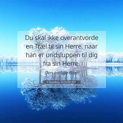 Picture 07 - 5 Mosebog 23:15 DA1871 - Du skal ikke overantvorde en Træl til sin Herre, - Bible Verse Picture