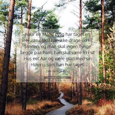 Picture 07 - 5 Mosebog 24:5 DA1871 - Naar en Mand nylig har taget en Hustru, skal han - Bible Verse Picture
