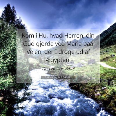 Picture 07 - 5 Mosebog 24:9 DA1871 - Kom i Hu, hvad Herren, din Gud gjorde ved Maria - Bible Verse Picture