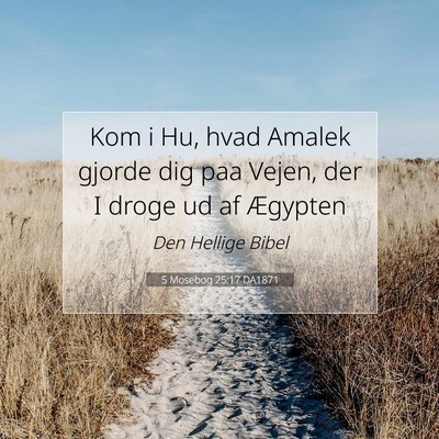 Picture 07 - 5 Mosebog 25:17 DA1871 - Kom i Hu, hvad Amalek gjorde dig paa Vejen, der I - Bible Verse Picture