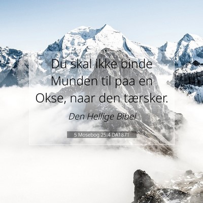 Picture 07 - 5 Mosebog 25:4 DA1871 - Du skal ikke binde Munden til paa en Okse, naar - Bible Verse Picture