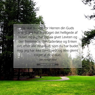 Picture 07 - 5 Mosebog 26:13 DA1871 - Da skal du sige for Herren din Guds Ansigt: Jeg - Bible Verse Picture