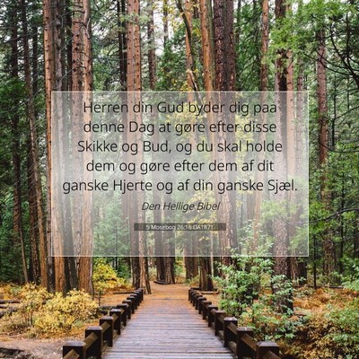 Picture 07 - 5 Mosebog 26:16 DA1871 - Herren din Gud byder dig paa denne Dag at gøre - Bible Verse Picture