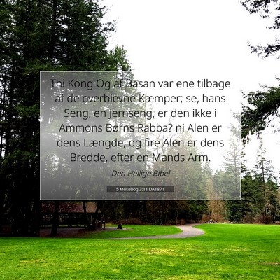 Picture 07 - 5 Mosebog 3:11 DA1871 - Thi Kong Og af Basan var ene tilbage af de - Bible Verse Picture