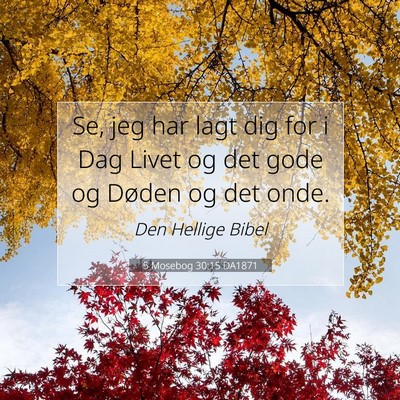 Picture 07 - 5 Mosebog 30:15 DA1871 - Se, jeg har lagt dig for i Dag Livet og det gode - Bible Verse Picture