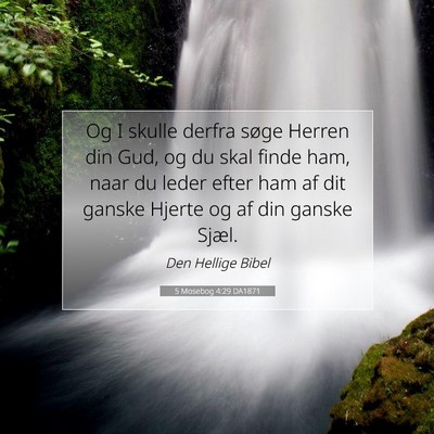 Picture 07 - 5 Mosebog 4:29 DA1871 - Og I skulle derfra søge Herren din Gud, og du - Bible Verse Picture