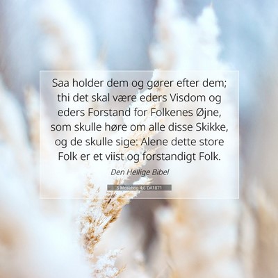 Picture 07 - 5 Mosebog 4:6 DA1871 - Saa holder dem og gører efter dem; thi det skal - Bible Verse Picture