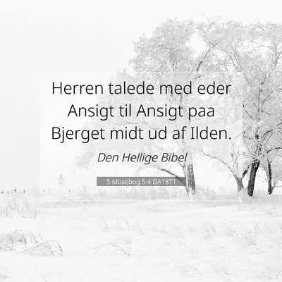 Picture 07 - 5 Mosebog 5:4 DA1871 - Herren talede med eder Ansigt til Ansigt paa - Bible Verse Picture
