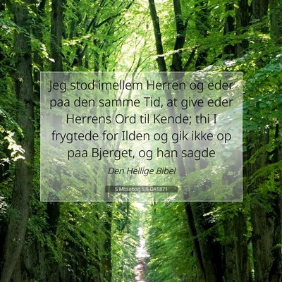 Picture 07 - 5 Mosebog 5:5 DA1871 - Jeg stod imellem Herren og eder paa den samme - Bible Verse Picture
