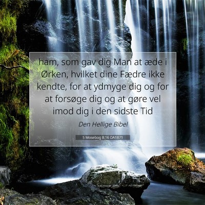 Picture 07 - 5 Mosebog 8:16 DA1871 - ham, som gav dig Man at æde i Ørken, hvilket - Bible Verse Picture