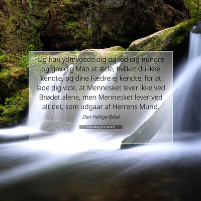 Picture 07 - 5 Mosebog 8:3 DA1871 - Og han ydmygede dig og lod dig hungre og gav dig - Bible Verse Picture