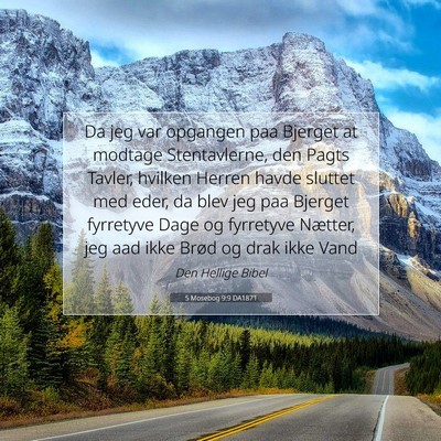 Picture 07 - 5 Mosebog 9:9 DA1871 - Da jeg var opgangen paa Bjerget at modtage - Bible Verse Picture