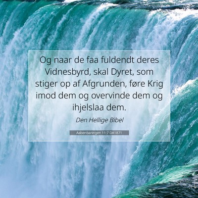 Picture 07 - Aabenbaringen 11:7 DA1871 - Og naar de faa fuldendt deres Vidnesbyrd, skal - Bible Verse Picture