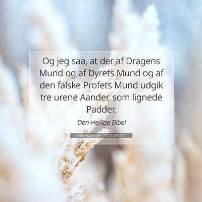 Picture 07 - Aabenbaringen 16:13 DA1871 - Og jeg saa, at der af Dragens Mund og af Dyrets - Bible Verse Picture
