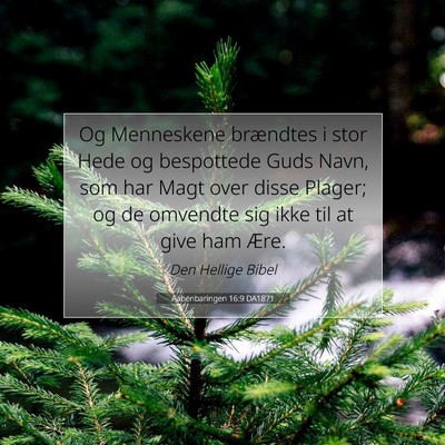 Picture 07 - Aabenbaringen 16:9 DA1871 - Og Menneskene brændtes i stor Hede og bespottede - Bible Verse Picture