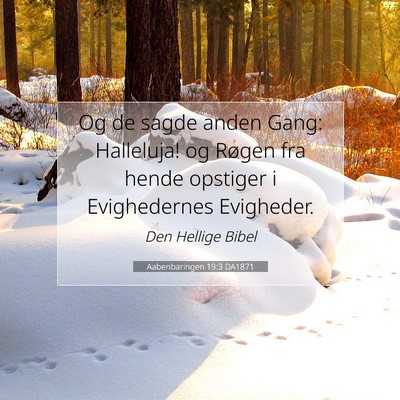 Picture 07 - Aabenbaringen 19:3 DA1871 - Og de sagde anden Gang: Halleluja! og Røgen fra - Bible Verse Picture