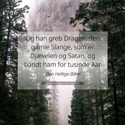 Picture 07 - Aabenbaringen 20:2 DA1871 - Og han greb Dragen, den gamle Slange, som er - Bible Verse Picture
