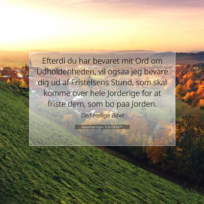 Picture 07 - Aabenbaringen 3:10 DA1871 - Efterdi du har bevaret mit Ord om Udholdenheden, - Bible Verse Picture
