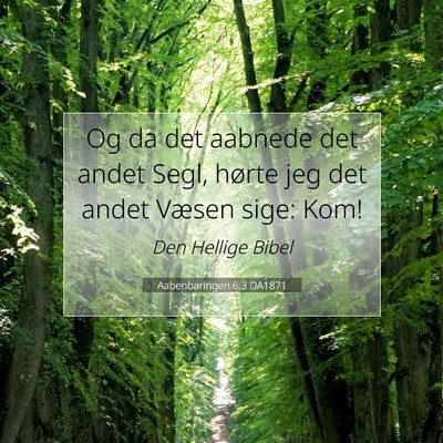 Picture 07 - Aabenbaringen 6:3 DA1871 - Og da det aabnede det andet Segl, hørte jeg det - Bible Verse Picture