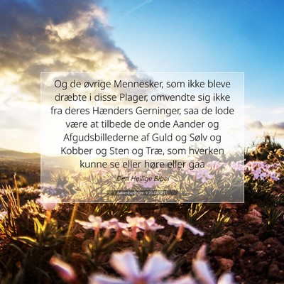 Picture 07 - Aabenbaringen 9:20 DA1871 - Og de øvrige Mennesker, som ikke bleve dræbte i - Bible Verse Picture