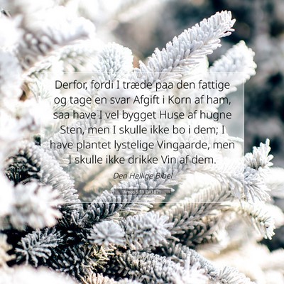 Picture 07 - Amos 5:11 DA1871 - Derfor, fordi I træde paa den fattige og tage en - Bible Verse Picture