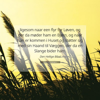 Picture 07 - Amos 5:19 DA1871 - ligesom naar een flyr for Løven, og der da - Bible Verse Picture