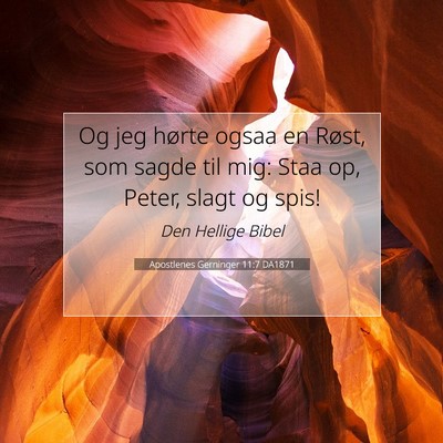 Picture 07 - Apostlenes Gerninger 11:7 DA1871 - Og jeg hørte ogsaa en Røst, som sagde til mig: - Bible Verse Picture