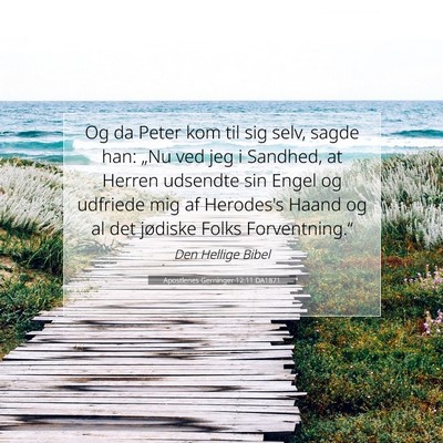 Picture 07 - Apostlenes Gerninger 12:11 DA1871 - Og da Peter kom til sig selv, sagde han: „Nu - Bible Verse Picture