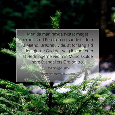 Picture 07 - Apostlenes Gerninger 15:7 DA1871 - Men da man havde tvistet meget herom, stod Peter - Bible Verse Picture