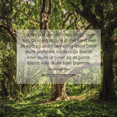 Picture 07 - Apostlenes Gerninger 2:17 DA1871 - „Og det skal ske i de sidste Dage, siger Gud, - Bible Verse Picture