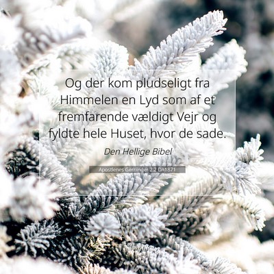 Picture 07 - Apostlenes Gerninger 2:2 DA1871 - Og der kom pludseligt fra Himmelen en Lyd som af - Bible Verse Picture