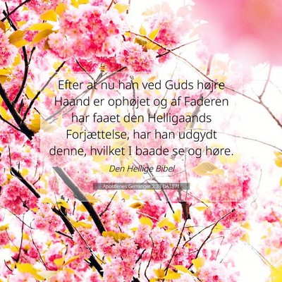 Picture 07 - Apostlenes Gerninger 2:33 DA1871 - Efter at nu han ved Guds højre Haand er ophøjet - Bible Verse Picture