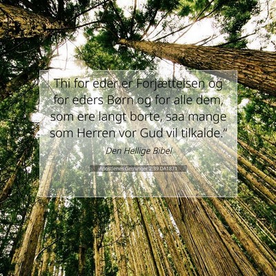 Picture 07 - Apostlenes Gerninger 2:39 DA1871 - Thi for eder er Forjættelsen og for eders Børn - Bible Verse Picture