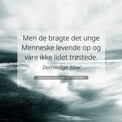 Picture 07 - Apostlenes Gerninger 20:12 DA1871 - Men de bragte det unge Menneske levende op og - Bible Verse Picture