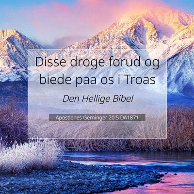 Picture 07 - Apostlenes Gerninger 20:5 DA1871 - Disse droge forud og biede paa os i - Bible Verse Picture