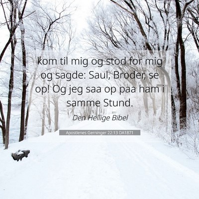 Picture 07 - Apostlenes Gerninger 22:13 DA1871 - kom til mig og stod for mig og sagde: Saul, - Bible Verse Picture