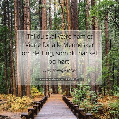 Picture 07 - Apostlenes Gerninger 22:15 DA1871 - Thi du skal være ham et Vidne for alle Mennesker - Bible Verse Picture