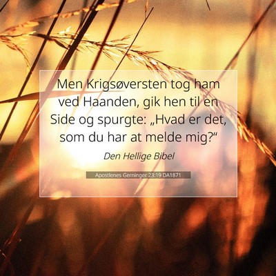Picture 07 - Apostlenes Gerninger 23:19 DA1871 - Men Krigsøversten tog ham ved Haanden, gik hen - Bible Verse Picture