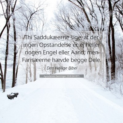Picture 07 - Apostlenes Gerninger 23:8 DA1871 - Thi Saddukæerne sige, at der ingen Opstandelse - Bible Verse Picture