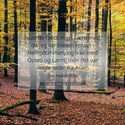 Picture 07 - Apostlenes Gerninger 24:18 DA1871 - hvad de fandt mig i Færd med, da jeg var bleven - Bible Verse Picture