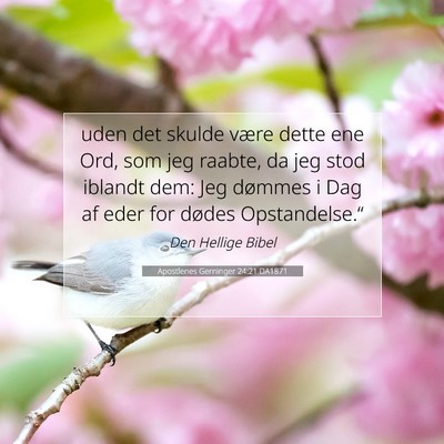 Picture 07 - Apostlenes Gerninger 24:21 DA1871 - uden det skulde være dette ene Ord, som jeg - Bible Verse Picture
