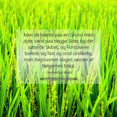 Picture 07 - Apostlenes Gerninger 27:41 DA1871 - Men de stødte paa en Grund med dybt Vand paa - Bible Verse Picture