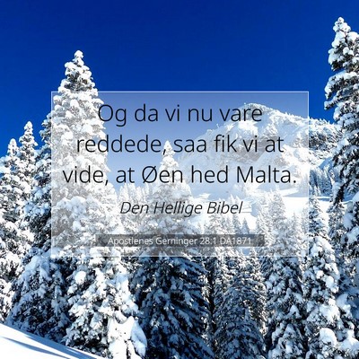 Picture 07 - Apostlenes Gerninger 28:1 DA1871 - Og da vi nu vare reddede, saa fik vi at vide, at - Bible Verse Picture