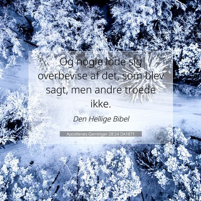 Picture 07 - Apostlenes Gerninger 28:24 DA1871 - Og nogle lode sig overbevise af det, som blev - Bible Verse Picture