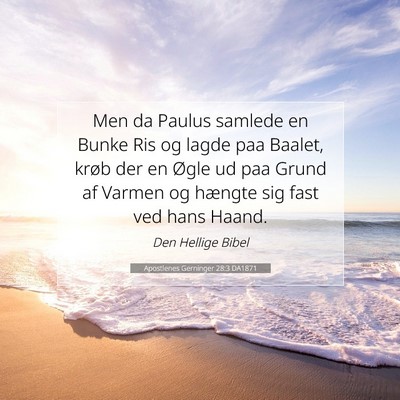Picture 07 - Apostlenes Gerninger 28:3 DA1871 - Men da Paulus samlede en Bunke Ris og lagde paa - Bible Verse Picture