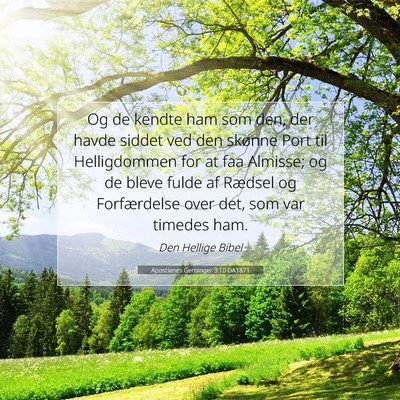 Picture 07 - Apostlenes Gerninger 3:10 DA1871 - Og de kendte ham som den, der havde siddet ved - Bible Verse Picture