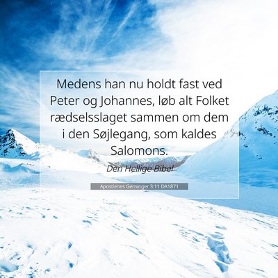 Picture 07 - Apostlenes Gerninger 3:11 DA1871 - Medens han nu holdt fast ved Peter og Johannes, - Bible Verse Picture