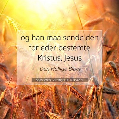 Picture 07 - Apostlenes Gerninger 3:20 DA1871 - og han maa sende den for eder bestemte Kristus, - Bible Verse Picture